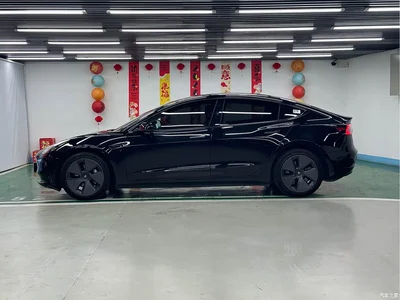 2022 Tesla Model 3 Model Rear-Wheel Drive Version, фото 4, лот 10352950