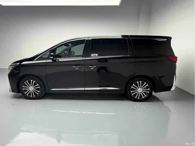 2023 GAC Trumpchi Trumpchi M8 Leading Series 390T Ultimate Edition, фото 4, лот 10414219