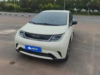 2025 BYD Dolphin 420km Freedom Edition, фото 2, лот 10404647