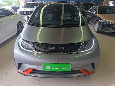 2021 BYD Dolphin Model 405km Fashion Edition, фото 3, лот 11568684