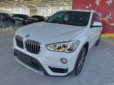 2019 BMW X1 sDrive18Li Premium Model, фото 2, лот 10479168
