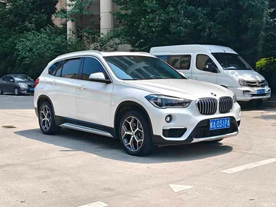 2019 BMW X1 xDrive20Li Premium Model, фото 3, лот 10466440