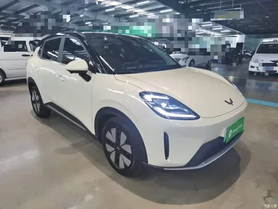 2025 Wuling Motors Wuling Bingo S Model 325km Premium Edition, фото 4, лот 10836065