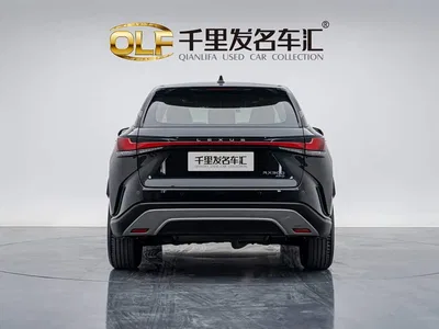 2025 Lexus RX 300 4WD Premium Edition, фото 2, лот 10386579