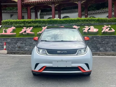 2021 BYD Dolphin Model 405km Fashion Edition, фото 2, лот 10251457