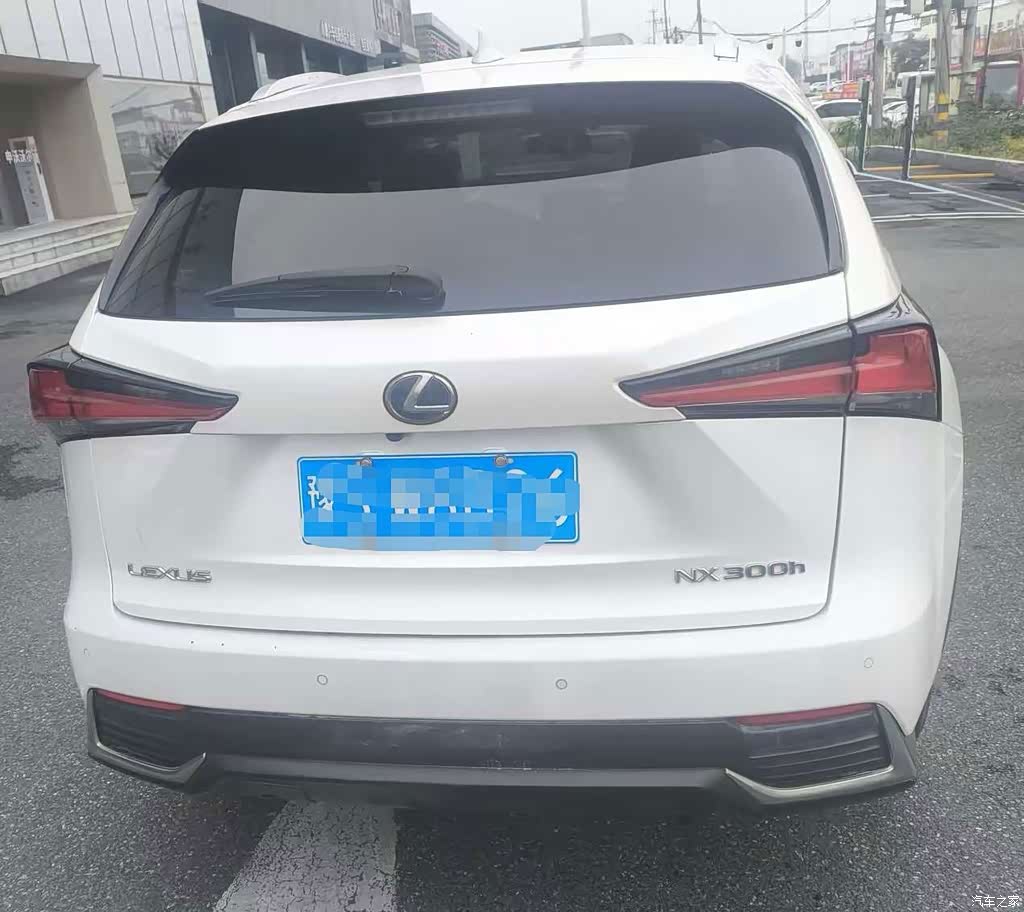 2020 Lexus NX 300h FWD F Sport China VI, фото 3, лот 11138991