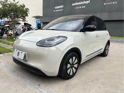 2023 Wuling Motors Wuling Bingo 333km Smart Connectivity Edition, фото 1, лот 10367227