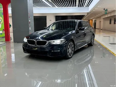 2018 BMW 5 Series 530Li Exclusive Luxury Package, фото 1, лот 10674819