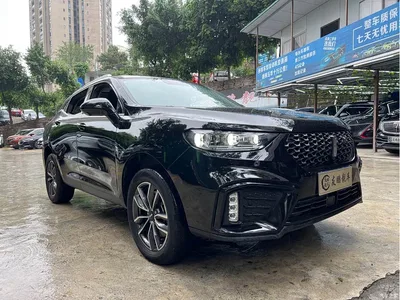 2020 WEY VV5 1.5T 2WD Smart Pioneer, фото 3, лот 11017693