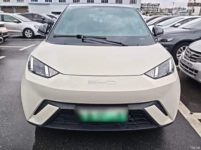 2023 BYD Seagull Freedom Edition, фото 3, лот 10259064