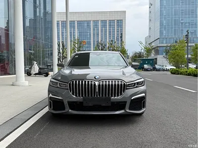 2019 BMW 7 Series 730Li M Sport Package, фото 2, лот 10679928