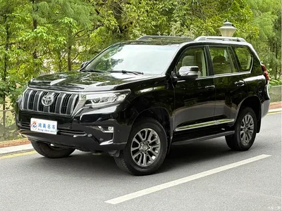 2019 Toyota Land Cruiser Prado, фото 1, лот 10385078