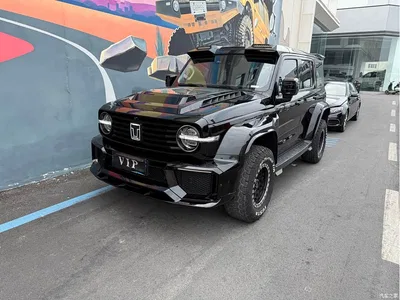 2023 Tank 300 Off-Road Edition 2.0T Conqueror, фото 1, лот 11188293