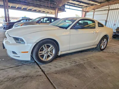 2013 FORD MUSTANG, фото 1, лот 10551460