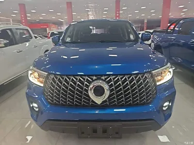 2023 Great Wall Pao 2.0T Commercial Auto Diesel 4WD Elite Long Box GW4D20M, фото 3, лот 10248885