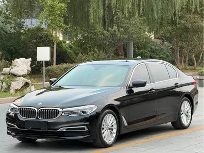 2020 BMW 5 Series 530Li Leading Luxury Package, фото 1, лот 11196093
