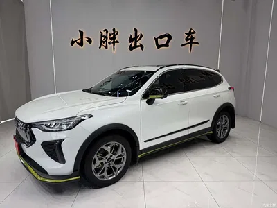 2022 Haval Chitu Power Edition 1.5T Purple Copper Rabbit, фото 1, лот 10300184