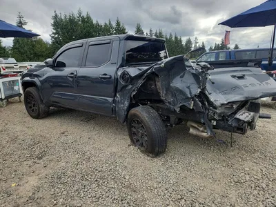 2024 TOYOTA TACOMA SR5, фото 2, лот 11561974