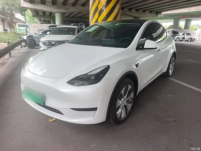2022 Tesla Model Y Facelift Rear-Wheel Drive Version, фото 1, лот 10369607
