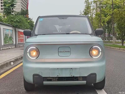 2023 Geely Galaxy Panda Mini 200km Endurance Bear, фото 2, лот 10430188
