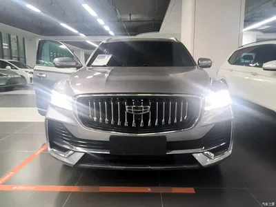2024 Geely Xingyue L Model 2.0TD High-Power Automatic 2WD Cloudrise Edition, фото 3, лот 10310445