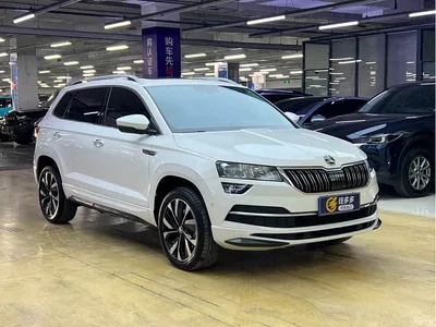 2022 Škoda Karoq TSI280 Luxury Edition, фото 3, лот 10356918