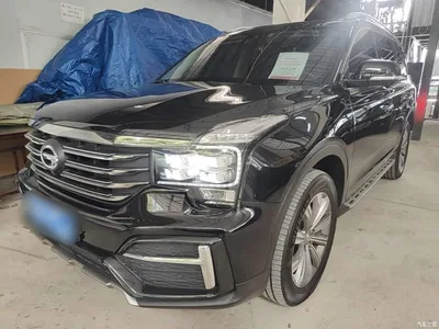 2020 GAC Trumpchi Trumpchi GS8 390T AWD Luxury Smart Connect Anniversary Edition (7-Seater), фото 2, лот 10421646
