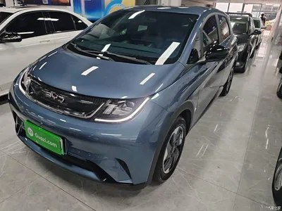 2025 BYD Dolphin 420km Freedom Edition, фото 2, лот 10264194