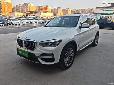 2018 BMW X3 xDrive28i Luxury Package China VI, фото 2, лот 10461658