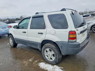 2004 FORD ESCAPE XLT, фото 2, лот 10981709