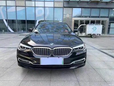 2019 BMW 5 Series New Energy 530Le Luxury Package, фото 2, лот 11203268