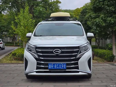 2021 GAC Trumpchi Trumpchi M8 Leading Show Series 390T Prestige Edition, фото 2, лот 10675964