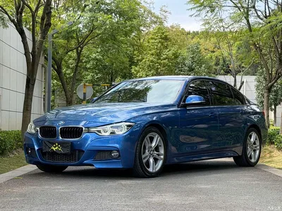 2018 BMW 3 Series 320Li Leading M Sport Package, фото 1, лот 11141880