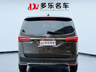 2022 Buick GL8 Land Business Class 652T Luxury, фото 4, лот 10256126