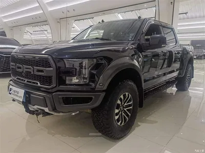 2019 Ford F-150 Raptor 3.5T Raptor Performance Enhanced Edition, фото 1, лот 10297165