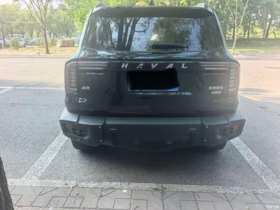 2022 Haval Big Dog Model 2.0T DCT AWD Howling Celestial Dog Hunting Edition, фото 3, лот 11205402