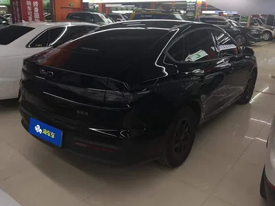 2025 BYD Hai Bao 05 DM-i DM-i Smart Drive Edition 55KM Luxury, фото 3, лот 10402057