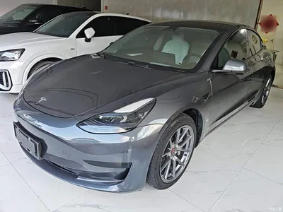 2022 Tesla Model 3 Model Rear-Wheel Drive Version, фото 1, лот 10369269
