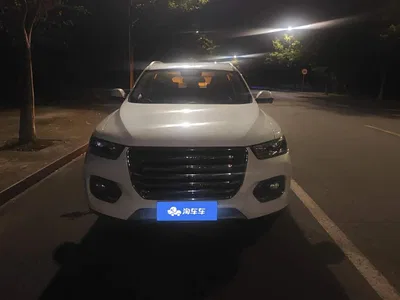 2020 Haval H6 1.5GDIT Automatic Platinum Champion Edition, фото 2, лот 11204806