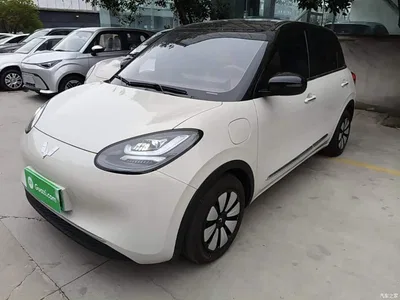 2025 Wuling Motors Wuling Bingo Model 333km Joy Edition, фото 2, лот 10372127
