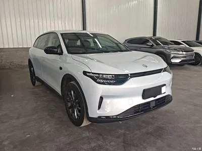 2023 Leapmotor C11 Pure Electric 500 Comfort Edition, фото 4, лот 10606423