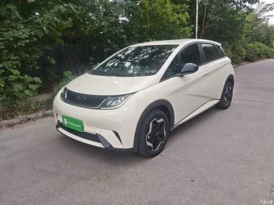 2025 BYD Dolphin 420km Vitality Edition, фото 2, лот 10387387