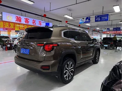 2023 Haval Da Gou 2nd Gen 2.0T 2WD Trendy Off-road Edition, фото 4, лот 11203375