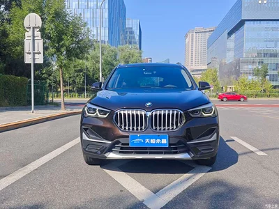 2020 BMW X1 sDrive20Li Premium Edition, фото 3, лот 10399664