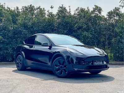 2023 Tesla Model Y Rear-Wheel Drive Edition, фото 3, лот 10594377