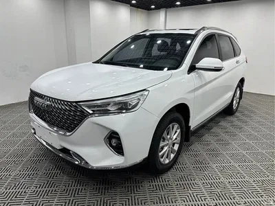 2021 Haval M6 PLUS 1.5T Manual Luxury Smart Connect, фото 3, лот 10296874