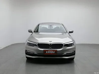 2019 BMW 5 Series Facelift 530Li Leading Luxury Package, фото 3, лот 10916959
