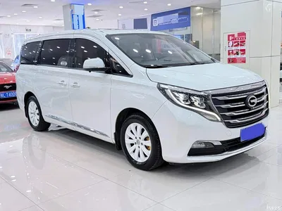 2018 GAC Trumpchi Trumpchi M8 320T Exclusive Edition, фото 3, лот 10393084