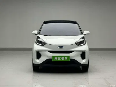 2021 QQ New Energy Little Ant 150K Ant Fans Edition Ant Cool LFP, фото 2, лот 10823651