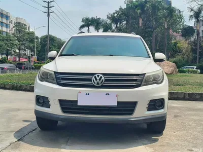 2010 Volkswagen Tiguan 1.8TSI Automatic 2WD Urban, фото 2, лот 10478291
